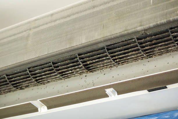 Best HVAC Maintenance and Cleaning  in Grove City, FL